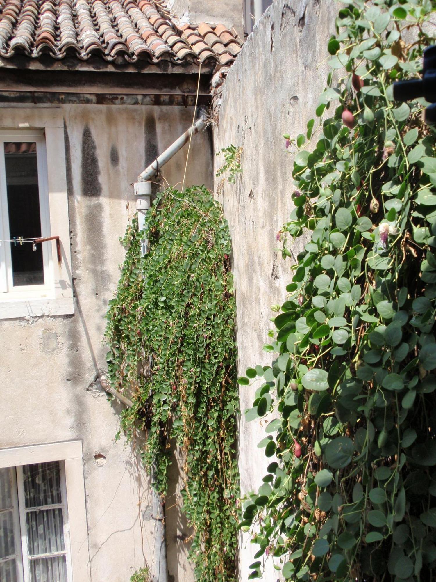 Malena Palace Experience Split Zewnętrze zdjęcie